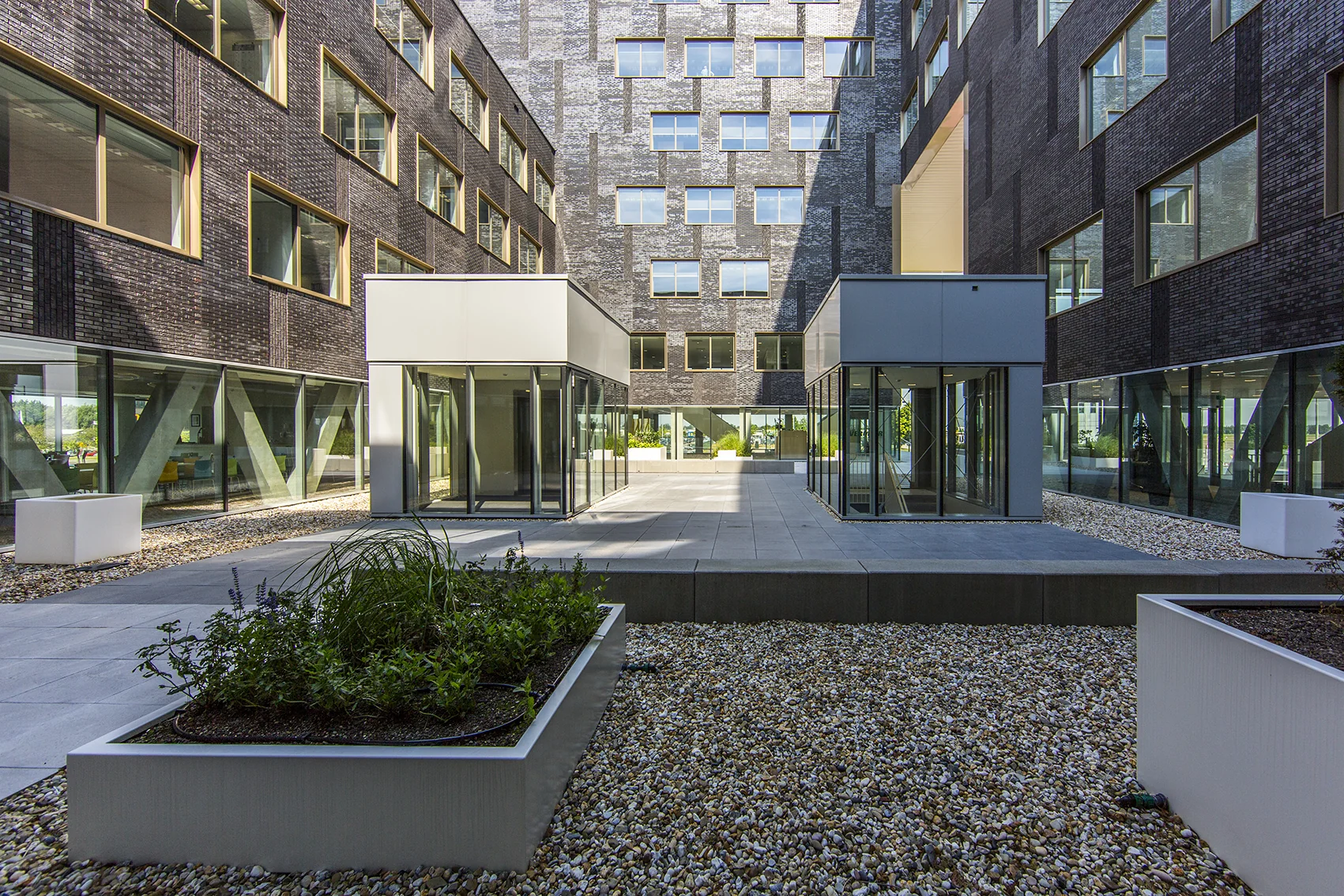 Binnenplaats van een modern kantoorgebouw aan het Rotterdam Airportplein met glazen gevels, grindpaden en minimalistische beplanting.